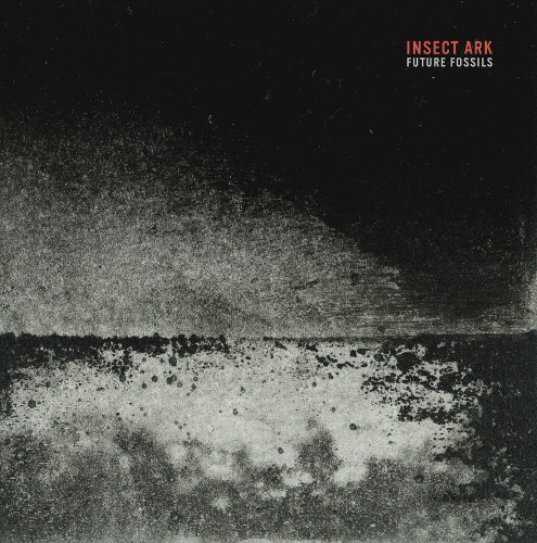Song_premiere Insect_ark