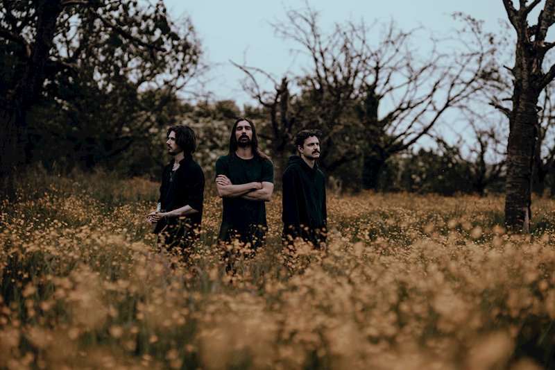 Interview with Psychonaut