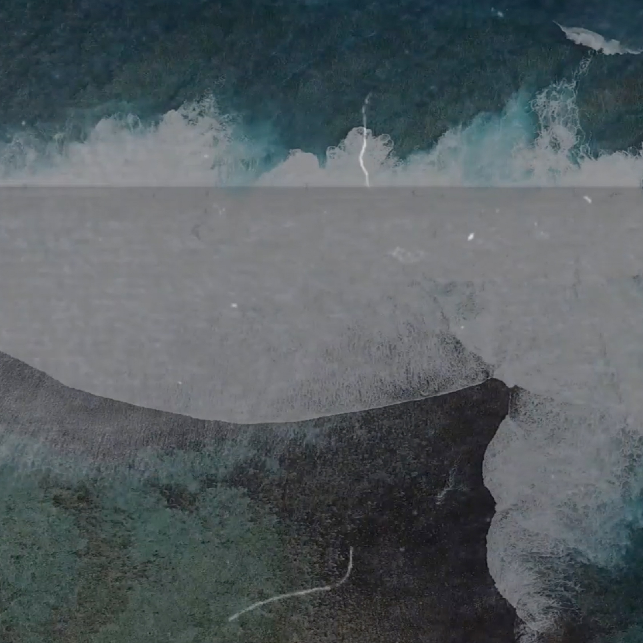 Song_premiere_thistle_sifter